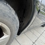 IMG_6307.jpeg