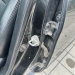 IMG_6310.jpeg