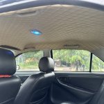 IMG_6313.jpeg