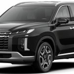 hyundai-palisade-den-e1694083045957-2499517j23807.jpg