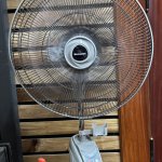 IMG_7641.jpeg