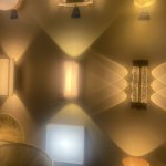 IMG_9529.jpeg