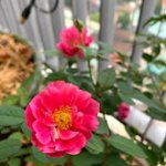 IMG_5708.jpg