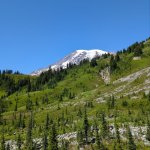 IMG_20250808_110640_486.jpg