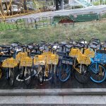 IMG_5498.jpeg