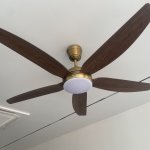 IMG_9205.jpeg