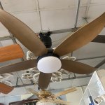 IMG_9019.jpeg