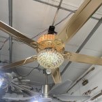 IMG_9015.jpeg