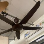 IMG_9020.jpeg