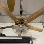 IMG_9018.jpeg