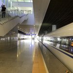 IMG_5896.jpeg