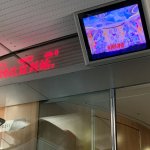 IMG_5920.jpeg