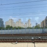 IMG_5923.jpeg
