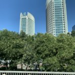 IMG_5924.jpeg