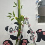 IMG_1133.jpeg