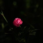 47E0F276-42C3-4D8F-8E7B-A7B189677863.jpeg