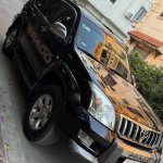 IMG_8369.jpeg