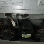 IMG_6875.jpeg