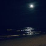 IMG_7131.jpeg