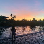 IMG_7613.jpeg