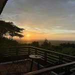 IMG_1630.jpeg