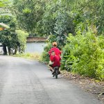 IMG_1984.jpeg