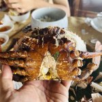 IMG_0797.jpeg