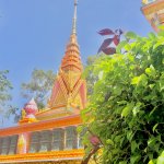 IMG_3513.jpeg