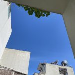 IMG_1944.jpeg