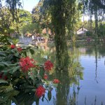 IMG_1311.jpeg