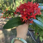 IMG_1312.jpeg