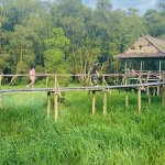 IMG_1485.jpeg