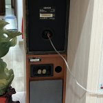 IMG_7221.jpeg