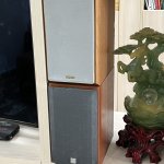 IMG_7218.jpeg
