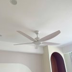 IMG_6007.jpeg