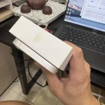 IMG_2095.jpeg