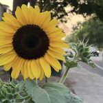 IMG_5507.jpeg