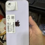 IMG_2633.jpeg
