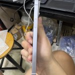IMG_2635.jpeg