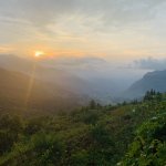 IMG_8989.jpeg