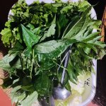 IMG_9006.jpeg