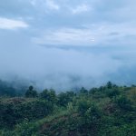 IMG_9015.jpeg