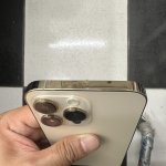 IMG_0847.jpeg