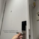 D8CA7EAD-13C7-488E-8A0C-3B0D44084E66.jpeg