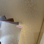 AE177CAD-C69B-4E38-84AC-1F9E3FAE6FDF.jpeg