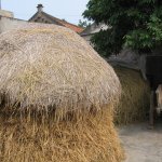 IMG_0118.jpg