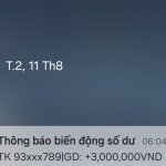 22335.jpg