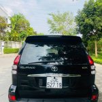 IMG_8495.jpeg