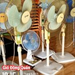 IMG_6469.jpeg