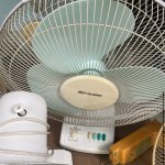 IMG_6471.jpeg